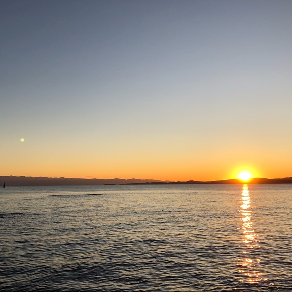 Meet your Posher, Alexa - Picture 1 of 1